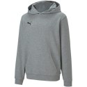 Bluza Puma teamGOAL 23 Casuals Hoody Jr 656711 33 128