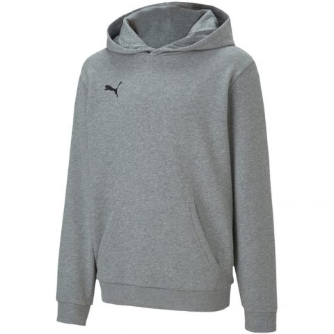 Bluza Puma teamGOAL 23 Casuals Hoody Jr 656711 33 152