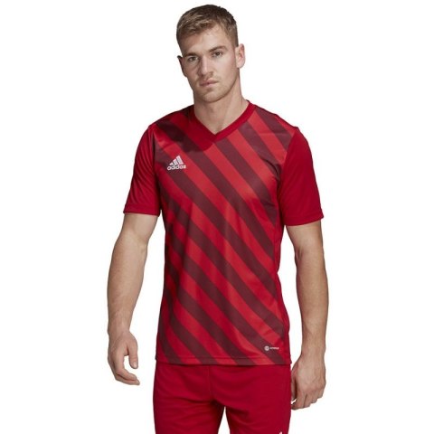 Koszulka adidas Entrada 22 Graphic Jersey M HB0572 2 XL