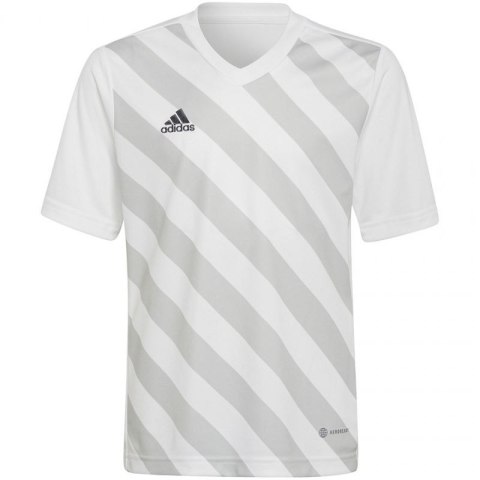 Koszulka adidas Entrada 22 Graphic Jersey Jr HF0120 116 cm