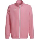 Bluza adidas Entrada 22 Presentation Jacket Jr HC5037 164 cm