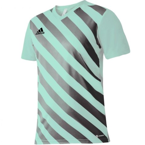 Koszulka adidas Entrada 22 Graphic Jersey Jr HF0127 116 cm