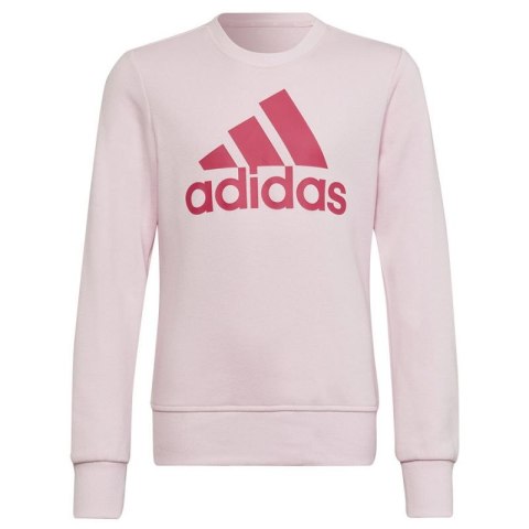 Bluza adidas Big Logo SWT Jr HM8709 128 cm