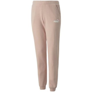 Spodnie Puma Alpha Sweatpants FL cL G Jr 670222 47 164cm