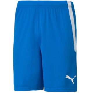 Spodenki Puma teamLIGA M 704924 02 M