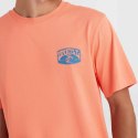 Koszulka O'Neill Beach Graphic T-Shirt M 92800613976 L