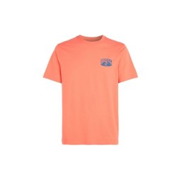 Koszulka O'Neill Beach Graphic T-Shirt M 92800613976 M