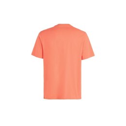 Koszulka O'Neill Cali Original T-Shirt M 92800613165 L