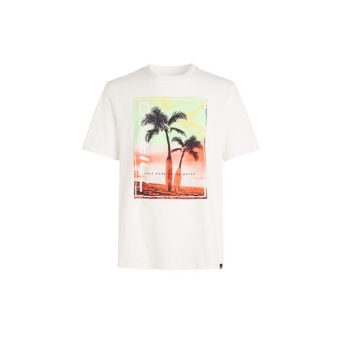 Koszulka O'Neill Jack Neon T-Shirt M 92800613598 L