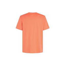 Koszulka O'Neill Mix & Match Palm T-Shirt M 92800613905 L