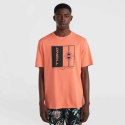 Koszulka O'Neill Mix & Match Palm T-Shirt M 92800613905 L