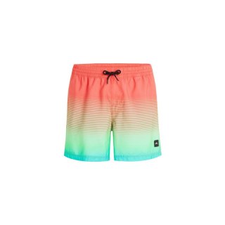 Szorty kąpielowe O'Neill Jack Cali Gradient 15'' Swim Shorts M 92800613575 L