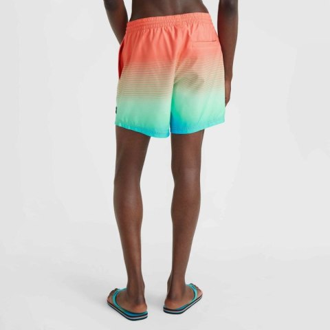 Szorty kąpielowe O'Neill Jack Cali Gradient 15'' Swim Shorts M 92800613575 L