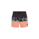 Szorty kąpielowe O'Neill Mix & Match Cali Block 15'' Swim Shorts M 92800613828 S