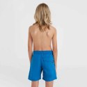 Szorty kąpielowe O'Neill Vert 14" Swim Shorts Jr 92800614215 140