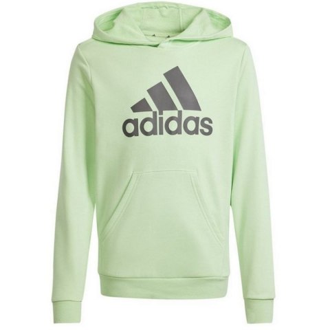 Bluza adidas Big Logo Hoodie Jr IS2591 140 cm