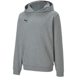 Bluza Puma teamGOAL 23 Casuals Hoody Jr 656711 33 116