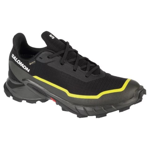 Buty Salomon Alphacross 5 GTX M 474604 44 2/3