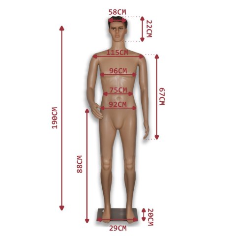 Manekin Wystawowy Pełnopostaciowy Męski 190CM