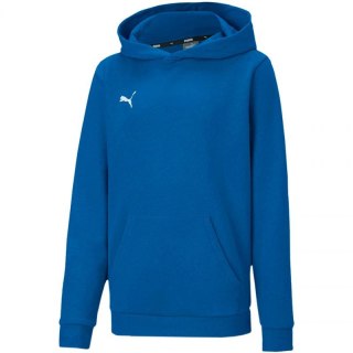 Bluza Puma teamGOAL 23 Casuals Hoody Jr 656711 02 152