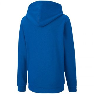 Bluza Puma teamGOAL 23 Casuals Hoody Jr 656711 02 152